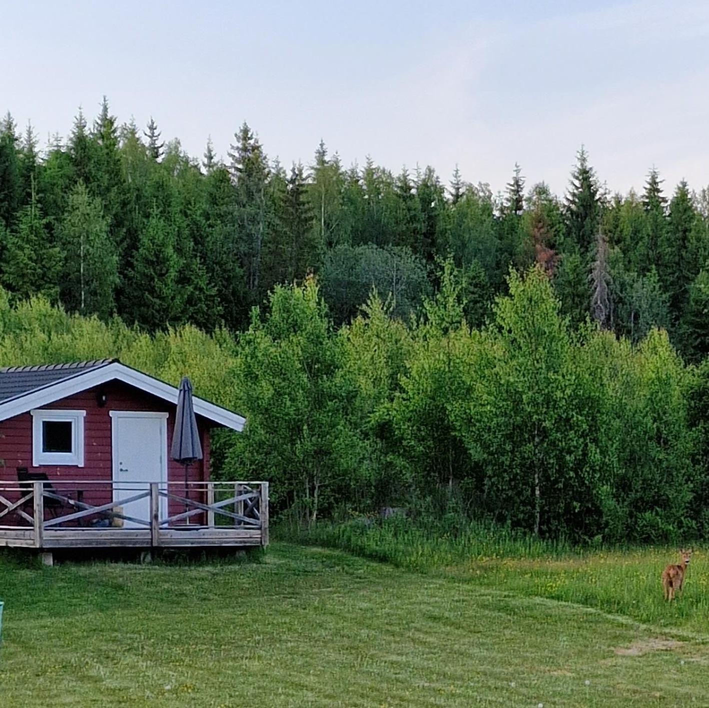 Cosy Private Cottage With Stunning View Sunne Zewnętrze zdjęcie